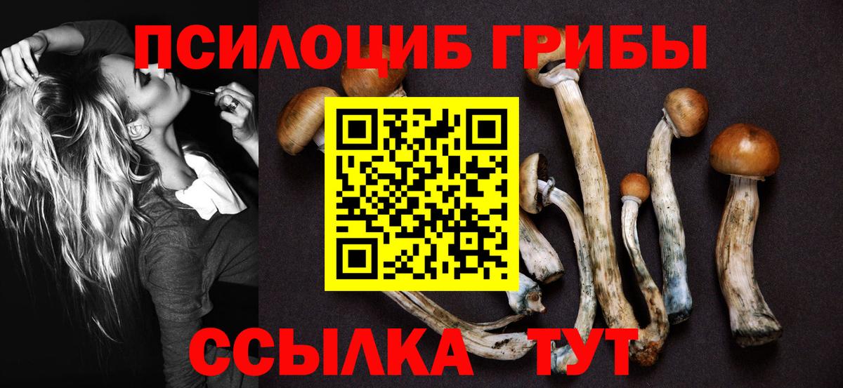 Псилоцибиновые грибы GOLDEN TEACHER  Вход с VPN  Урай  Галлюциногенные грибы Psilocybe 