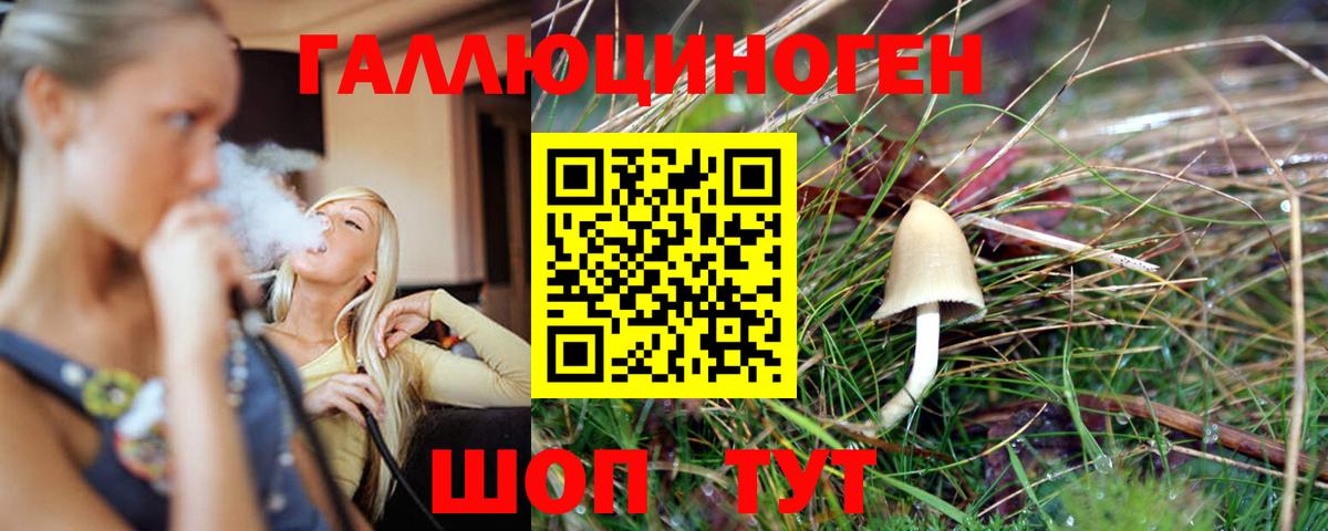 Псилоцибиновые грибы GOLDEN TEACHER Урай